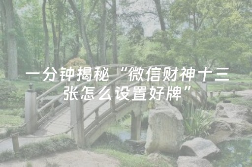 实测教程“手机金花铺牌器购买（专用辅牌神器免安装）