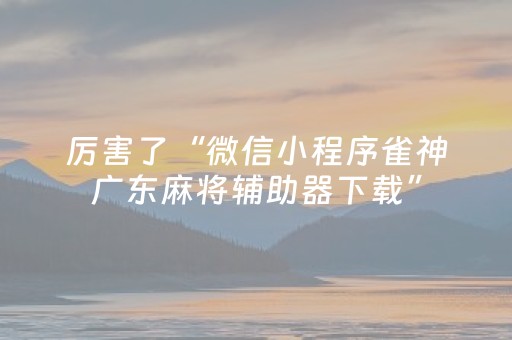 终于发现了“麻将机免装控牌器（助赢神器通用版）