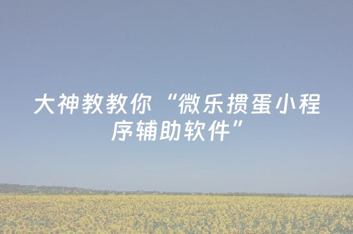 实测辅助“决战十三水万能辅助器（助赢神器通用版）