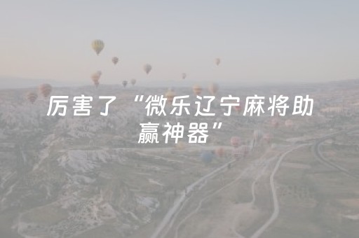 分享辅助“财神十三张助赢神器（专用辅牌神器免安装）