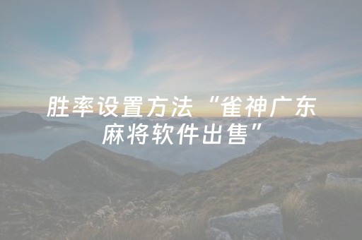 玩家必看攻略“微乐插件胜率设置（专用辅牌神器免安装）
