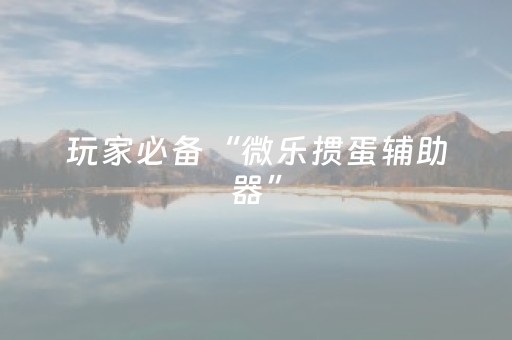 必看教程“全自动麻将机免安装麻将机控牌器（专用辅牌神器免安装）