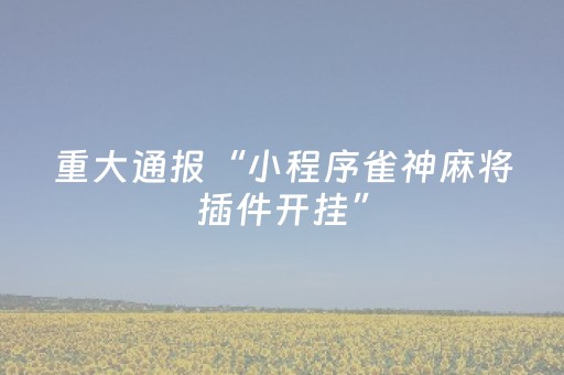 实测结果“微乐吉林麻将赢牌的技巧（专用辅牌神器免安装）