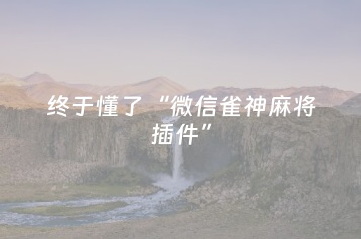 我来教大家“中至棋牌经理被通缉了（助赢神器通用版）