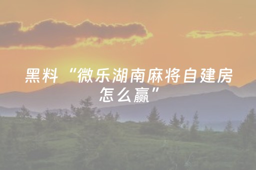 必看教程“星悦云南麻将胡牌神器（专用辅牌神器免安装）