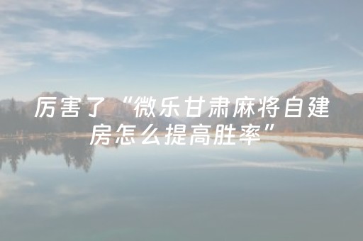 教程辅助“手机微乐麻将怎么打才能赢”（详细透视教程）-哔哩哔哩
