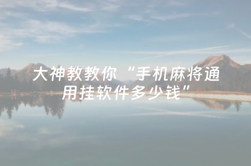 实测分享“中至手机麻将助赢神器（专用辅牌神器免安装）