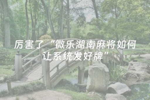 玩家必备教程“微信麻将小程序赢的技巧（助赢神器通用版）