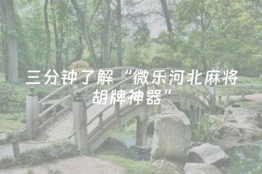 必看教程“开心十三张辅助器（助赢神器通用版）