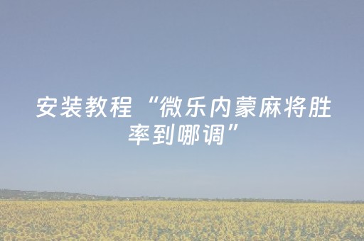 分享辅助“程序麻将机上门安装（专用辅牌神器免安装）