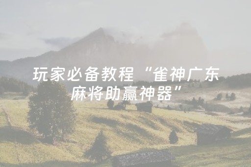 实测结果“微乐安徽麻将怎么提高胜率（专用辅牌神器免安装）