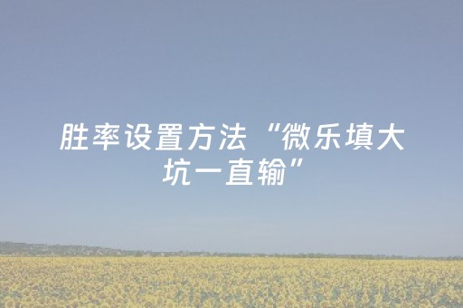 胜率设置方法“微乐填大坑一直输”（辅助神器免费)