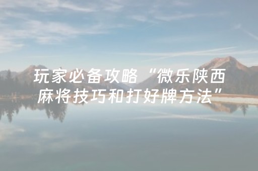 玩家必备攻略“微乐陕西麻将技巧和打好牌方法”（好友房怎么才能赢)