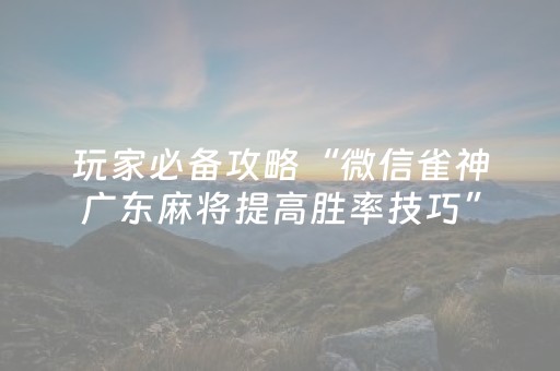 分享辅助“普通麻将机解密器（助赢神器通用版）