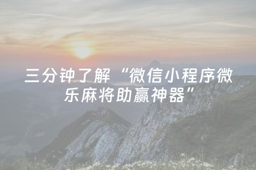 终于发现“开心麻将软挂神器（专用辅牌神器免安装）