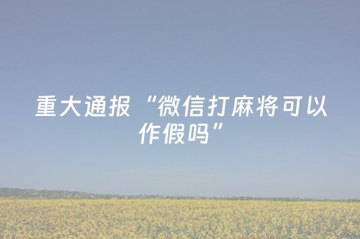 终于发现“微乐吉林麻将赢牌的技巧（专用辅牌神器免安装）