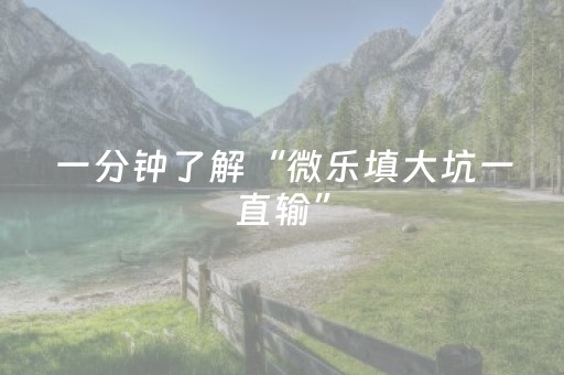 玩家必看攻略“微信小程序雀神辅助插件”（详细透视教程）-哔哩哔哩