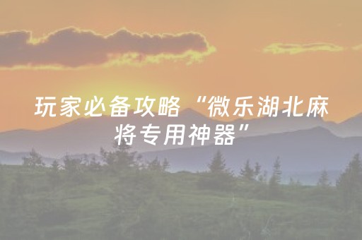 实测分享“决胜麻将作敝神器（专用辅牌神器免安装）