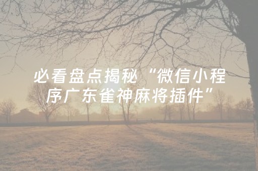 新版本“控制QQ红包尾数的挂了”（详细透视教程）-哔哩哔哩