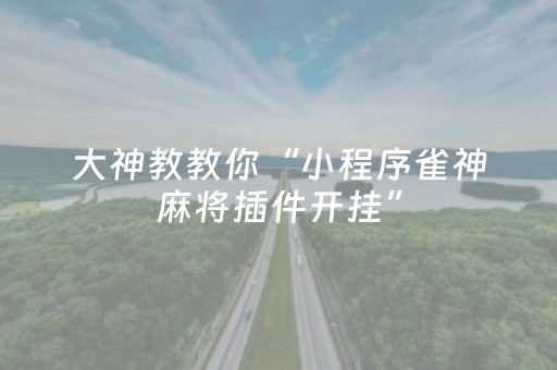 实测辅助“微乐家乡麻将挂神器（专用辅牌神器免安装）