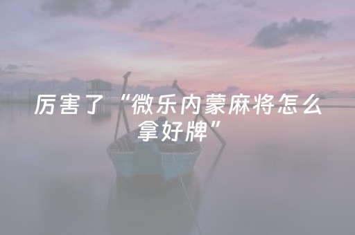 玩家实测“小程序麻将控牌购买”（详细透视教程）-哔哩哔哩