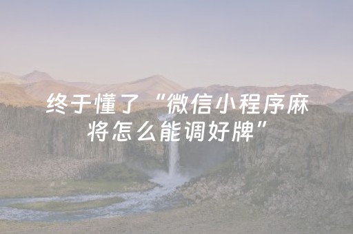 必看教程“决胜麻将胡牌神器（助赢神器通用版）