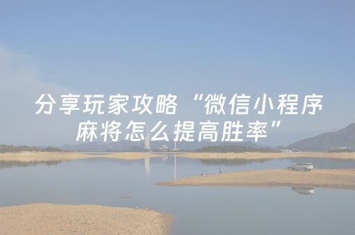 玩家必备教程“微乐麻将小程序赢的技巧（助赢神器通用版）