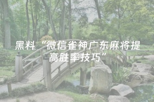 今日实测“微乐斗地主透视神器怎么安装”（详细透视教程）-哔哩哔哩