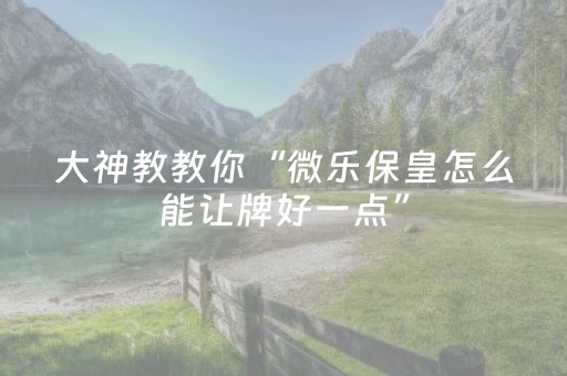 大神教教你“微乐保皇怎么能让牌好一点”（外辅工具)