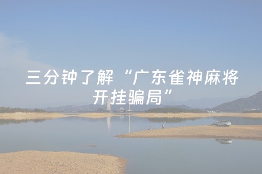 三分钟了解“广东雀神麻将开挂骗局”（外辅工具)