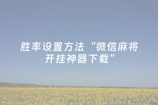 实测教程“情怀麻将专用神器”（详细透视教程）-哔哩哔哩