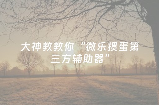 必看教程“微乐麻将怎样设置好牌”（详细透视教程）-哔哩哔哩