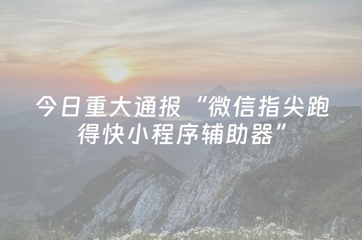 玩家必备教程“微乐捉鸡麻将辅牌器（助赢神器通用版）