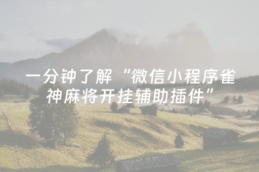 分享辅助“微信红包牛牛外挂助手扫雷”（详细透视教程）-哔哩哔哩