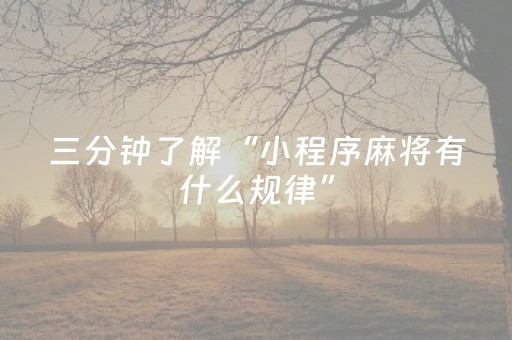 必看教程！“微乐江西麻将软挂神器”（详细辅助教程）-哔哩哔哩