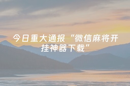 玩家实测“中至赣州辅助器下载”（详细透视教程）-哔哩哔哩