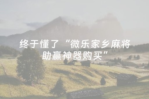 3分钟学会“麻友圈2真的有外挂马”（详细透视教程）-哔哩哔哩