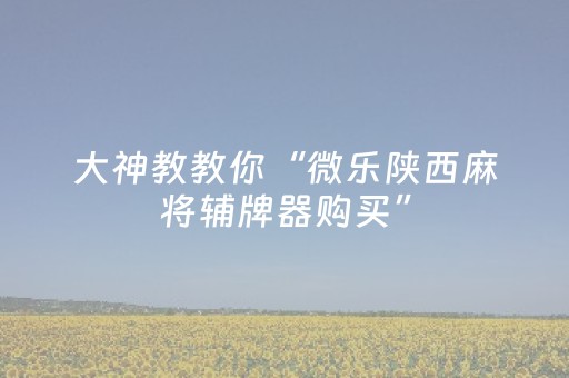 3分钟学会“手机十三张外挂”（详细透视教程）-哔哩哔哩
