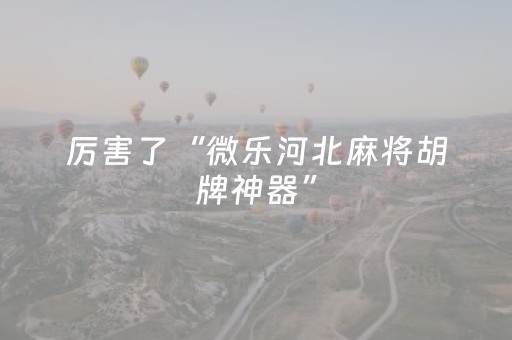 终于发现了“微乐手机麻将规律及技巧（助赢神器通用版）