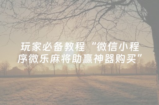 必看教程“心悦麻将看牌工具（专用辅牌神器免安装）
