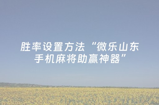 玩家必看教程！“微乐江西麻将软挂神器”（详细辅助教程）-哔哩哔哩