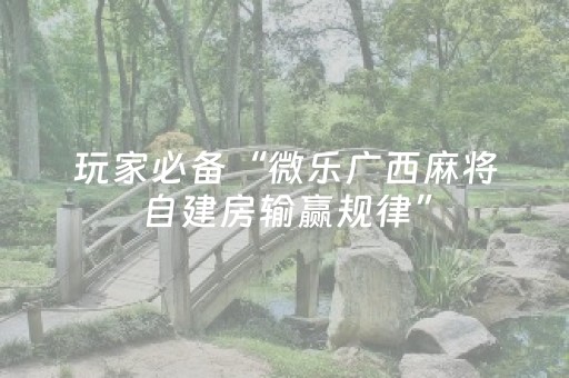 实测分析“雀神广东麻将神器软件先用后付”（详细辅助教程）-哔哩哔哩