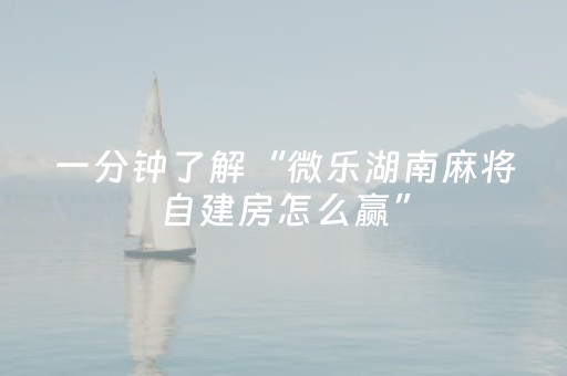 玩家必看攻略“微信红包三位数牛牛挂好不好用”（详细透视教程）-哔哩哔哩