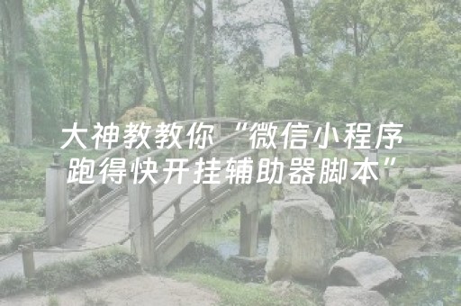 终于发现了“小程序麻将控牌购买（专用辅牌神器免安装）