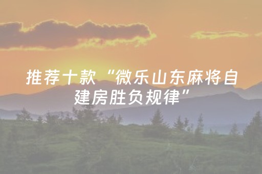 终于发现了“微乐小程序插件（专用辅牌神器免安装）