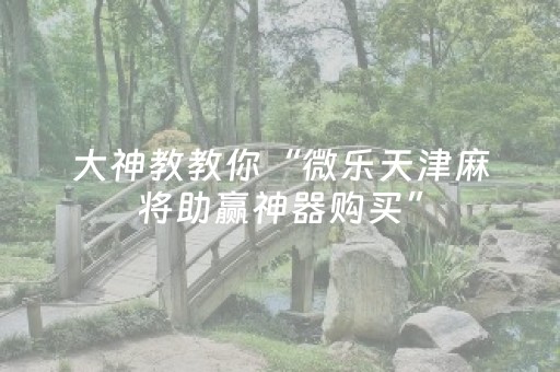 分享辅助“闲逸辅牌器购买（专用辅牌神器免安装）