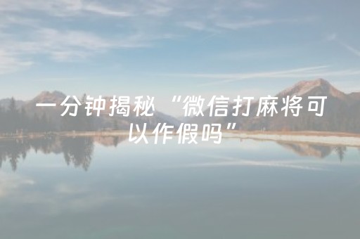 玩家实测“微信金花拼三张辅助器”（详细透视教程）-哔哩哔哩