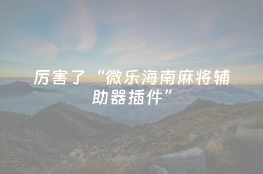 必看教程“广东红中麻将手机控牌器”（详细透视教程）-哔哩哔哩