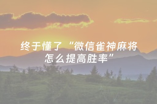 终于懂了“微信雀神麻将怎么提高胜率”（怎么能得到好牌)