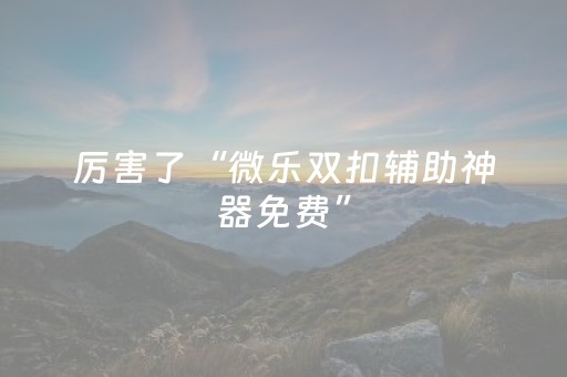 玩家必备教程“微信麻将小程序插件购买（专用辅牌神器免安装）